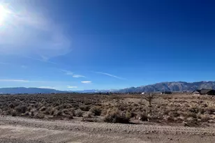 260 Mount Grant, Smith, NV 89430 - Photo 1