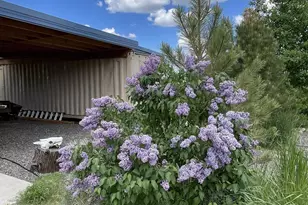 93205 State Route 34, Gerlach, NV 89412 - Photo 36