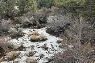 1825 Empire Rd, Virginia City, NV 89521 - Photo 1