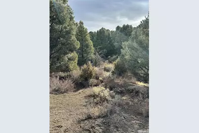 1825 Empire Road, Virginia City, NV 89521 - Photo 2