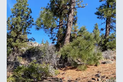 180 Scenic Range Court, Carson City, NV 89705 - Photo 4