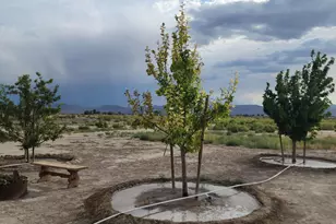 1 Spence Ln, Yerington, NV 89447 - Photo 44