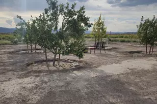 1 Spence Ln, Yerington, NV 89447 - Photo 42