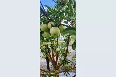 1 Spence Lane, Yerington, NV 89447 - Photo 40