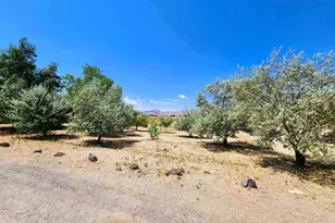 2345 E 4th St, Silver Springs, NV 89429 - Photo 20