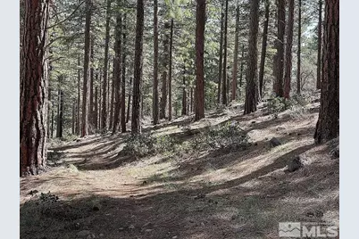 370 Abies Road #3, Reno, NV 89511 - Photo 2