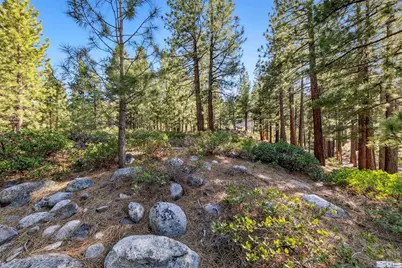 1205 Douglas Fir Drive, Reno, NV 89511 - Photo 12