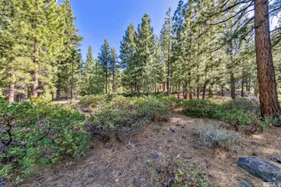 1205 Douglas Fir Drive, Reno, NV 89511 - Photo 10