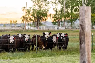 320 Mottsville, Gardnerville, NV 89460 - Photo 44