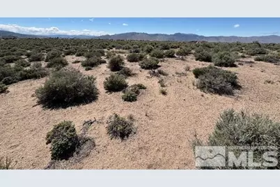 365 Ludwig Lane, Smith, NV 89430 - Photo 1