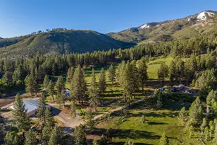 6995 Franktown Rd, Washoe Valley, NV 89704 - Photo 1