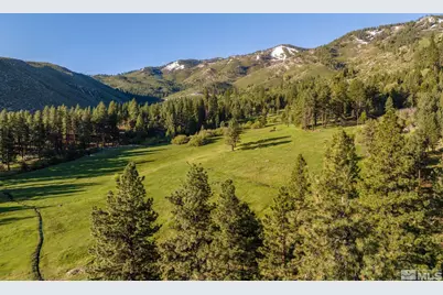 6995 Franktown Road, Washoe Valley, NV 89704 - Photo 26