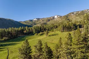 6995 Franktown Rd, Washoe Valley, NV 89704 - Photo 26