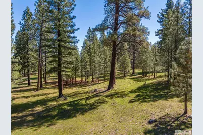 6995 Franktown Road, Washoe Valley, NV 89704 - Photo 34