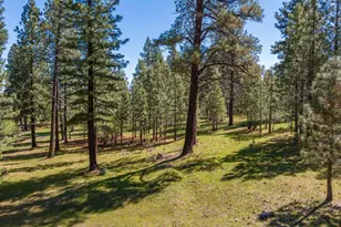 6995 Franktown Rd, Washoe Valley, NV 89704 - Photo 34