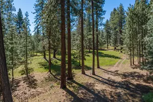 6995 Franktown Rd, Washoe Valley, NV 89704 - Photo 32