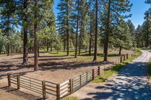 6995 Franktown Rd, Washoe Valley, NV 89704 - Photo 30