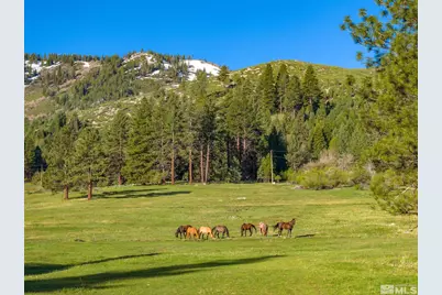 6995 Franktown Road, Washoe Valley, NV 89704 - Photo 24