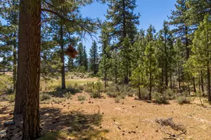 46 Boulders Bnd Dr, Carson City, NV 89705 - Photo 18