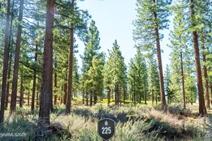 249 Redding Wy, Carson City, NV 89705 - Photo 2