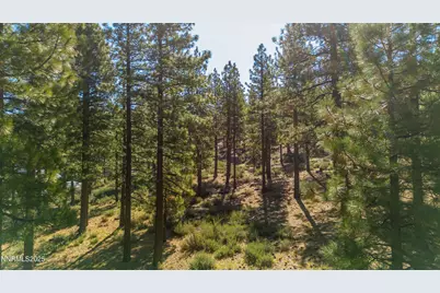 249 Redding Way #225, Carson City, NV 89705 - Photo 14