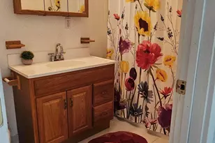 155 James Ct, Kingston, NV 89310 - Photo 40