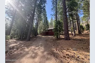 499 Shay Creek Road, Markleeville, CA 96120 - Photo 6