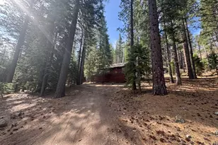 499 Shay Creek Rd, Markleeville, CA 96120 - Photo 6