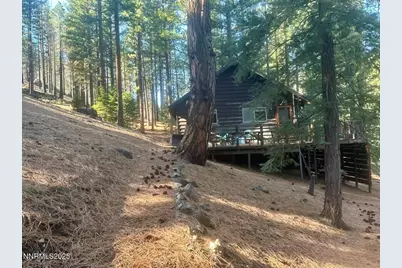 499 Shay Creek Road, Markleeville, CA 96120 - Photo 8