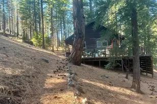 499 Shay Creek Rd, Markleeville, CA 96120 - Photo 8