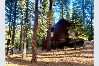 499 Shay Creek Road, Markleeville, CA 96120 - Photo 2