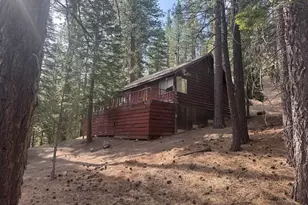499 Shay Creek Rd, Markleeville, CA 96120 - Photo 12