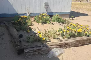 5211 Vanessa Dr, Fallon, NV 89406 - Photo 32