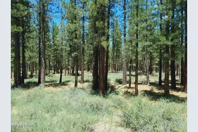 202 Village Trail #36, Portola, CA 96122 - Photo 2