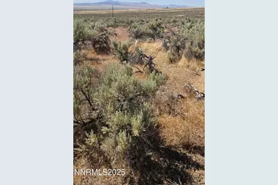 12170 Rye Patch Reservoir Road, Lovelock, NV 89419 - Photo 6