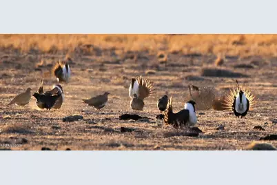 3350 Ike's Canyon Road, Eureka, NV 89316 - Photo 32