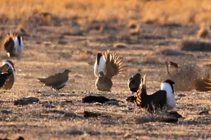 3350 Ikes Cyn Rd, Eureka, NV 89316 - Photo 32