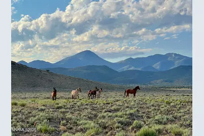 3350 Ike's Canyon Road, Eureka, NV 89316 - Photo 28