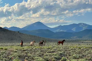 3350 Ikes Cyn Rd, Eureka, NV 89316 - Photo 28