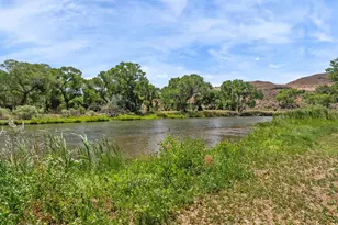 31850 Cantlon Dr, Wadsworth, NV 89442 - Photo 92