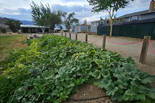 31850 Cantlon Dr, Wadsworth, NV 89442 - Photo 100