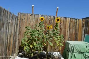 255 Elm St, Gerlach, NV 89412 - Photo 16