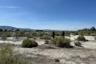 1100 Horseshoe Bend Rd, Lovelock, NV 89419 - Photo 8