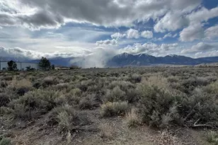 2590 Nowlin Rd, Minden, NV 89423 - Photo 1