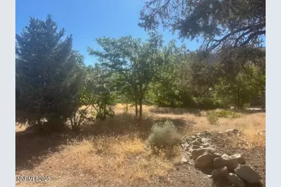 147 Shetler Drive, Coleville, CA 96107 - Photo 8