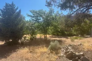 147 Shetler Dr, Coleville, CA 96107 - Photo 8