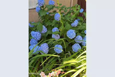 1000 Beck Street #361, Reno, NV 89509 - Photo 28