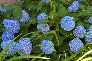 1000 Beck St, Reno, NV 89509 - Photo 28