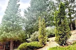 2605 Snow Partridge Dr, Reno, NV 89523 - Photo 24