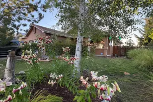 6515 Jamon Dr, Sparks, NV 89436 - Photo 14